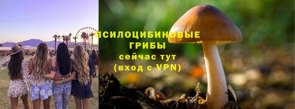 гашиш Бородино