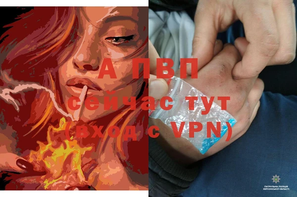 МДПВ Бугульма